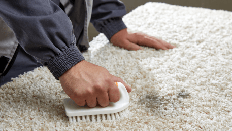 Professional Rug Cleaning Tottenham